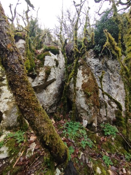 Gtte de la Combe à la Cras (entrée vue de loin)
Fichier manquant